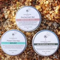 Medicinal Salve Trio