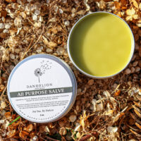 Medicinal Salve Trio - Image 3