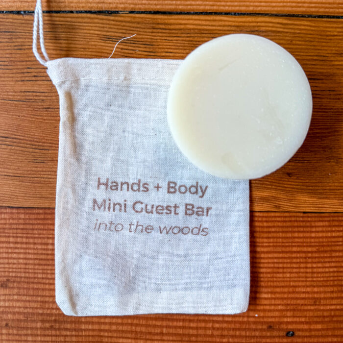 Hands + Body Mini Guest Bar Soap - into the woods