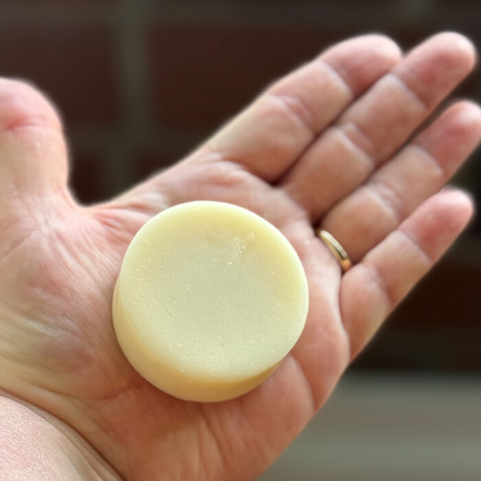 Hands + Body Mini Guest Bar Soap - into the woods - Image 2